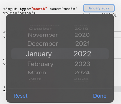 input type month = zadání měsíce a roku