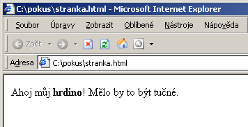 Zobrazení html textu v prohlížeči